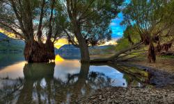 Featured image of post 对2024年的总结